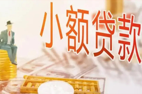重庆大足区贷私借